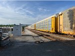 TTGX 852124